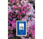 Bloc éphéméride comique Classique sur plaque illustrée 18 x 26 cm 2027 - Visuels assortis