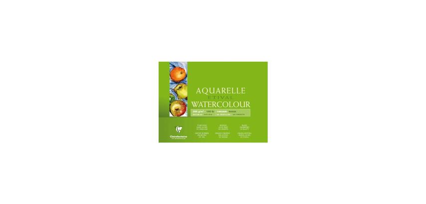 Etival bloc collé 4 côtés 25F 36x48cm 300g grain torchon
