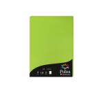 Etui de 50 feuilles Pollen 210x297mm 120g/m2
