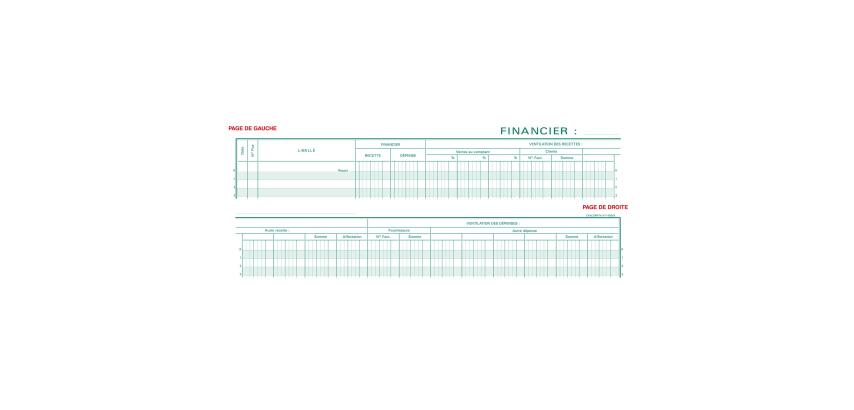 Piqûre Registre financier - texte FR - 80 pages