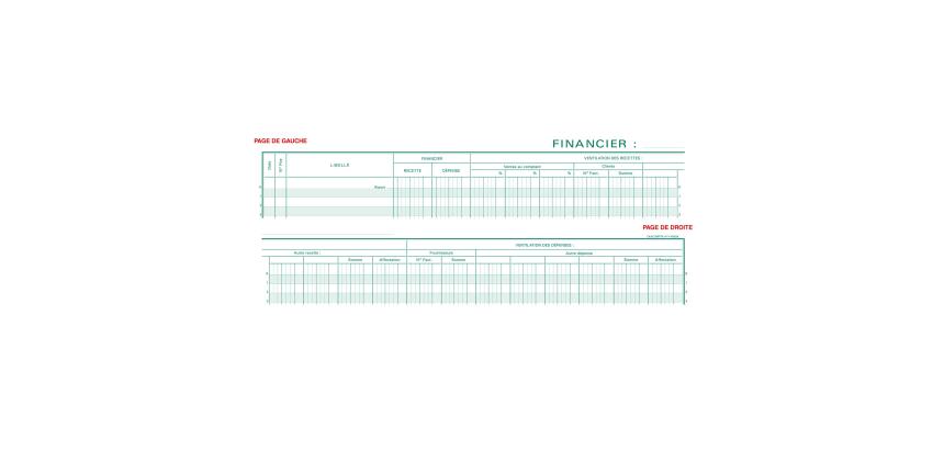 Finanzregister Eintrag - Text FR - 80 Seiten