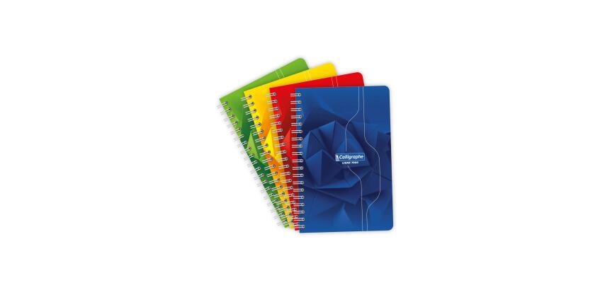 Carnet reliure intégrale 7000 11x17 cm 100 pages petits carreaux 70 g - Assortis