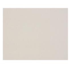 Carton Gris 2,5mm 10F 50x65cm 1625g - Gris