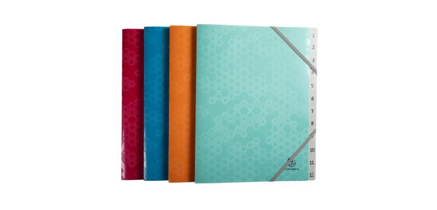 Trieur polypropylène recyclé 12 compartiments Maïa - Couleurs assorties
