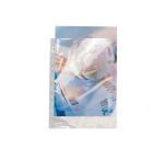 Pk 10 Punch Pockets PP A4 0.09mm Clear - Crystal