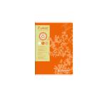 Cahier piqué FOREVER A4 96 pages grands carreaux 70 g - Assortis