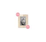 Déco Pocket n°22 - Assortiment