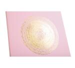 Guest book 100p gold 27x22 Ellipse grey
