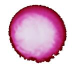 Alkoholtinte 20ml, Rubinrot - Rubinrot|