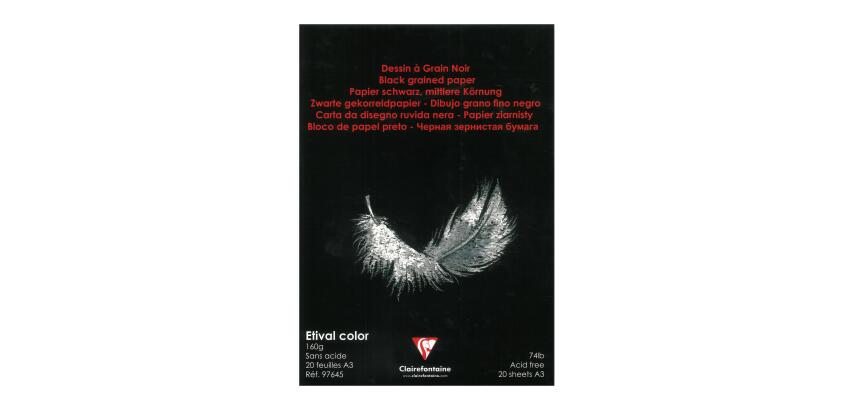 Etival Color bloc collé 20F A3 160g - Noir