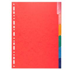 Tabbladen in glanskarton 225g met geplastificeerde gekleurde tabs - 6 tabs - A4 - Geassorteerd