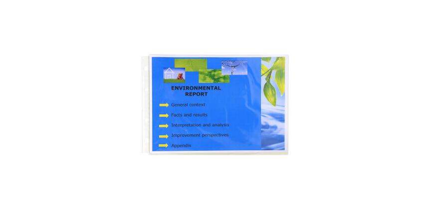 Estuche Exacompta de 20 fundas A4 apaisadaspara Carpeta Exacompta Exactive polipropileno liso 5,5/100º