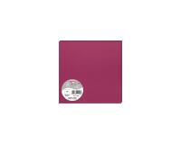Paquet de 25 cartes simples Pollen 160x160mm 210g/m2