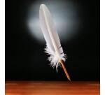 PLUME D'OIE+PLUME METAL SUR BROCH