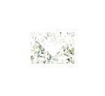 COLLECTION EUCALYPTUS, Paquet de 20 enveloppes imprimées Pollen 114x162mm 120g/m2 - Vert 3 - Vert