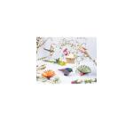 Clairefontaine Origami Kit Birds - Pack of 60 Sheets - 70gsm - Multicolour
