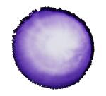 Alkoholtinte 20ml, Violett - Violett