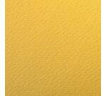 Etival Color paquet 5F A4 160g