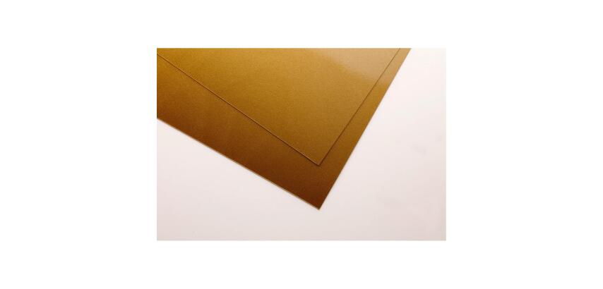 Clairefontaine Polypro Sheets Pack - 10 Sheets - 50 x 70 cm - Gold