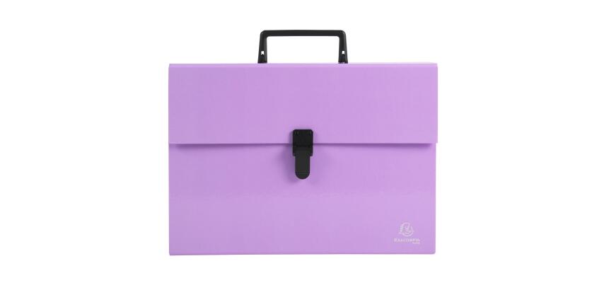 Sorteerkoffer met handvat 18 vakken Aquarel