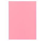 Pack of 100 folders SUPER 60 - 22x31cm