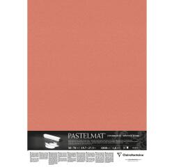 Pastelmat op karton 5F 50x70cm - Sanguine