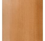 Aquarelle extra-fine demi-godet - Terre d’ombre