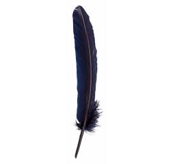 Plumes d'oie taillées 28cm