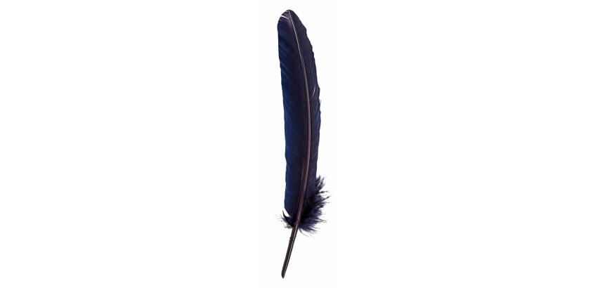 Plumes d'oie taillées 28cm