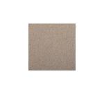 Etival Color paquet 25F A3 160g - Champagne