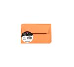 Paquet de 20 enveloppes Pollen 90x140mm 120g/m2