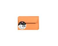 Paquet de 20 enveloppes Pollen 90x140mm 120g/m2
