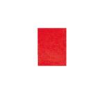 PAPIER MÛRIER, Étui de 10 feuilles 25g/m2 au format 65x95cm - Rouge