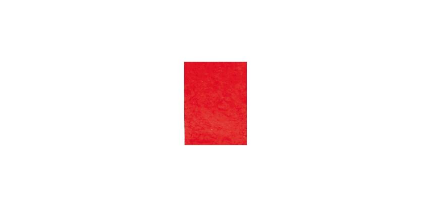 PAPIER MÛRIER, Étui de 10 feuilles 25g/m2 au format 65x95cm - Rouge