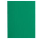 Pk 100 Sq. Folders Flash 220g