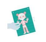 Creative box, Decalco Mania, Human body - Multicolour