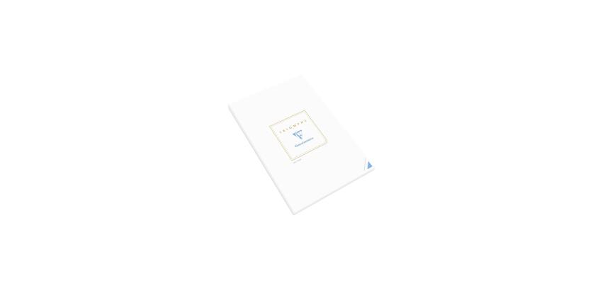 Bloc de correspondance TRIOMPHE, A4, blanc