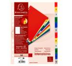 Intercalaires imprimés numériques polypropylène 12/100e - 12 positions - A4 - Assorties vives
