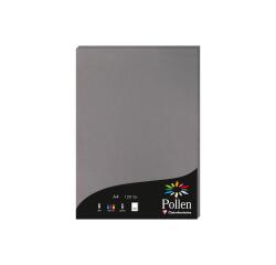 Etui de 50 feuilles Pollen 210x297mm 120g/m2