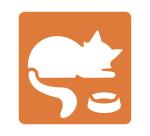 Set de 6 pochoirs enfants, Chats - Orange