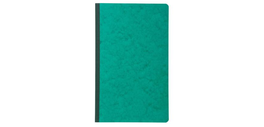Piqûre 32x19,5cm recettes-dépenses 80 pages - Couleurs assorties