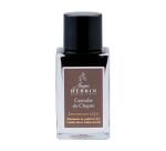 Encre 1670 à paillettes dorées 15ml - Caroube de Chypre