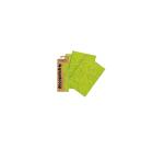 Pochette 3 Feuilles Identiques Ref 301 - Vert