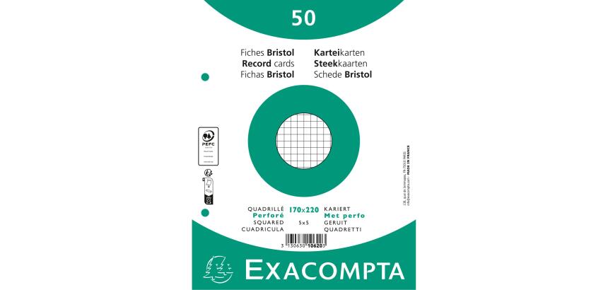 100er Packung Karteikarten - kariert gelocht - 170x220mm - Weiß
