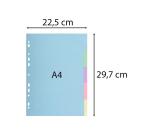 Register aus Recyclingkarton 170g, 5 neutrale Taben, für Format DIN A4, Pastell, Forever - Farben sortiert