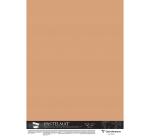 Pastelmat pak van 5 vel 100x140cm 360g - Terrasiena