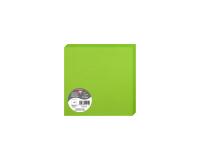 Paquet de 25 cartes pliées Pollen 160x160mm 210g/m2 - Vert menthe