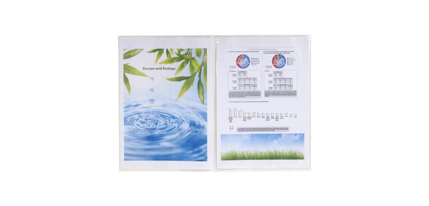 Pk 10 Sleeves PVC A4 1.5mm Double - Crystal