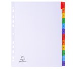 Intercalaire A4+ carte bristol blanche Exacompta 12 onglets numériques multicolores 1 jeu
