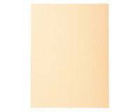 Paquet de 100 chemises Forever® 170 100% recyclé - 24x32cm - Bulle